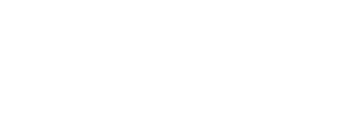 a white logo on a black background with the words sts at 2050